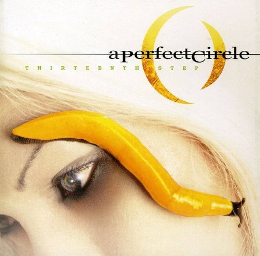 A Perfect Circle – Thirteenth Step