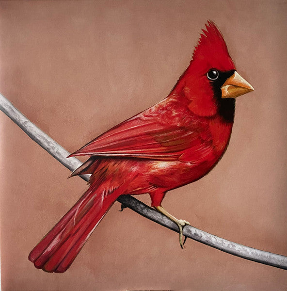 Alexisonfire - Old Crows / Young Cardinals - Grey + Black Red + Black