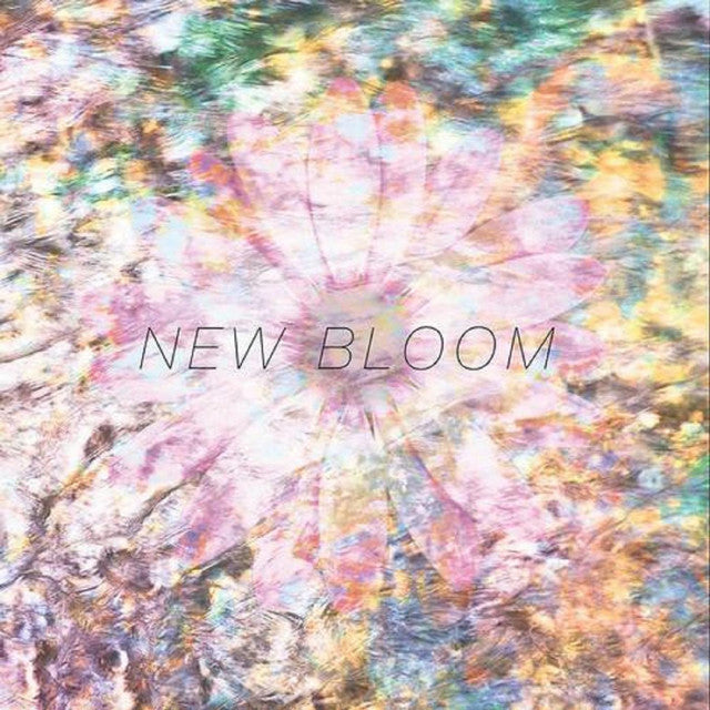 Endless Heights – New Bloom - Orange