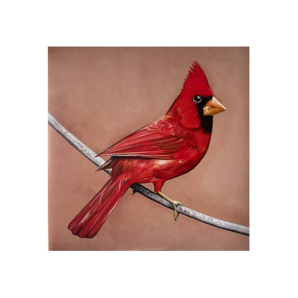 Alexisonfire - Old Crows / Young Cardinals - Grey + Black Red + Black