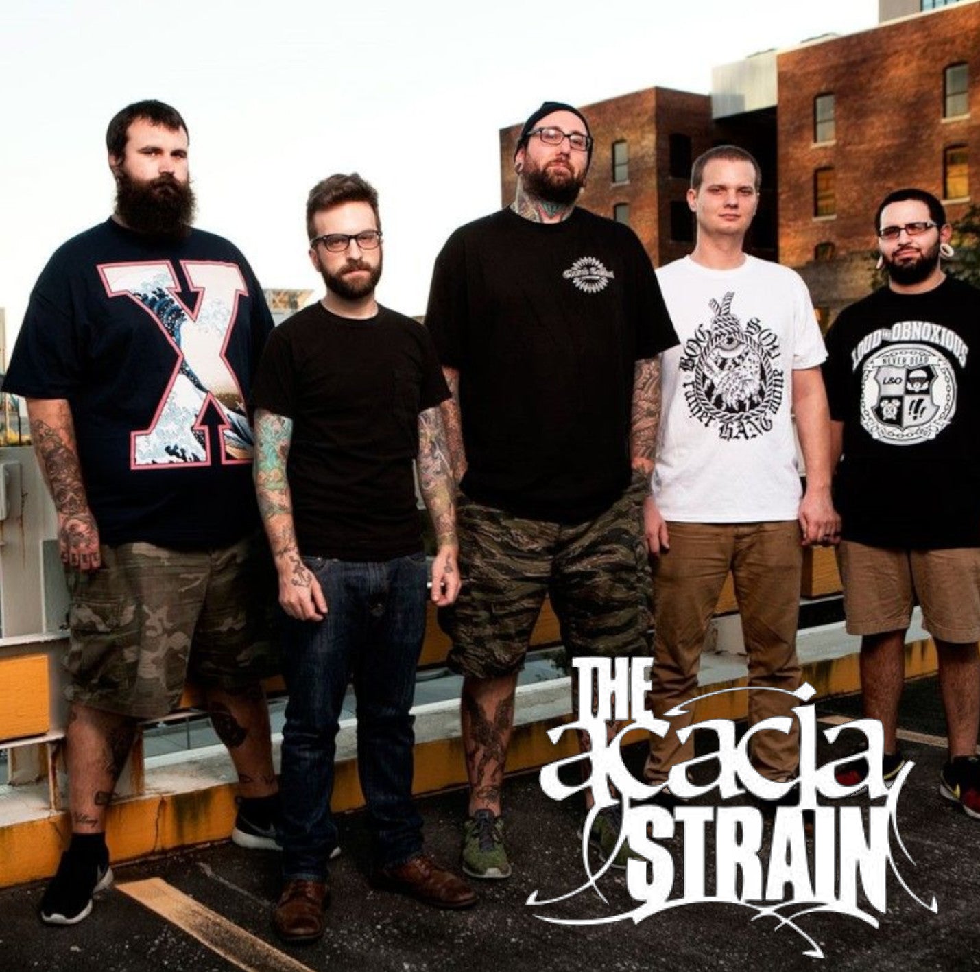 The Acacia Strain