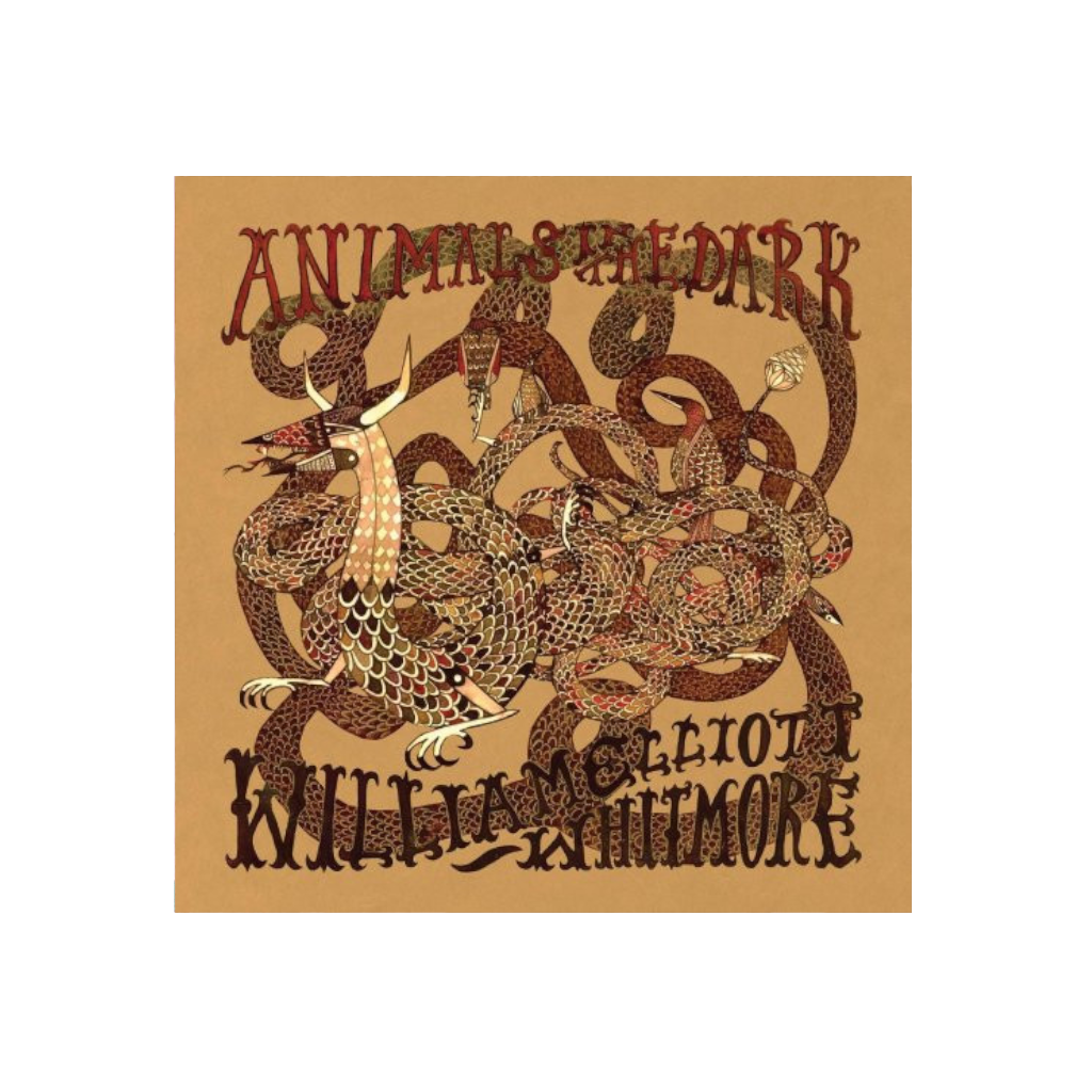 William Elliott Whitmore – Animals In The Dark