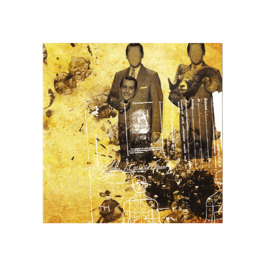 The Broderick – Illusion Over Despair - CD