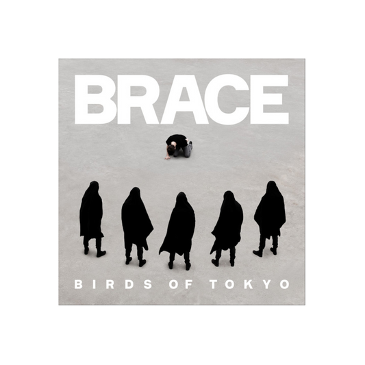 Birds Of Tokyo – Brace