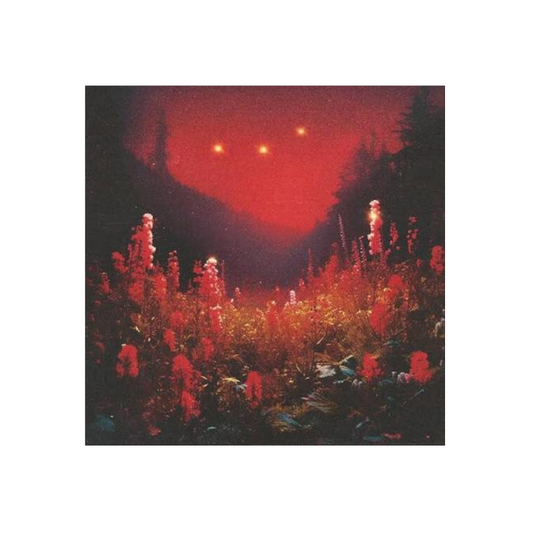 Silent Planet – Superbloom