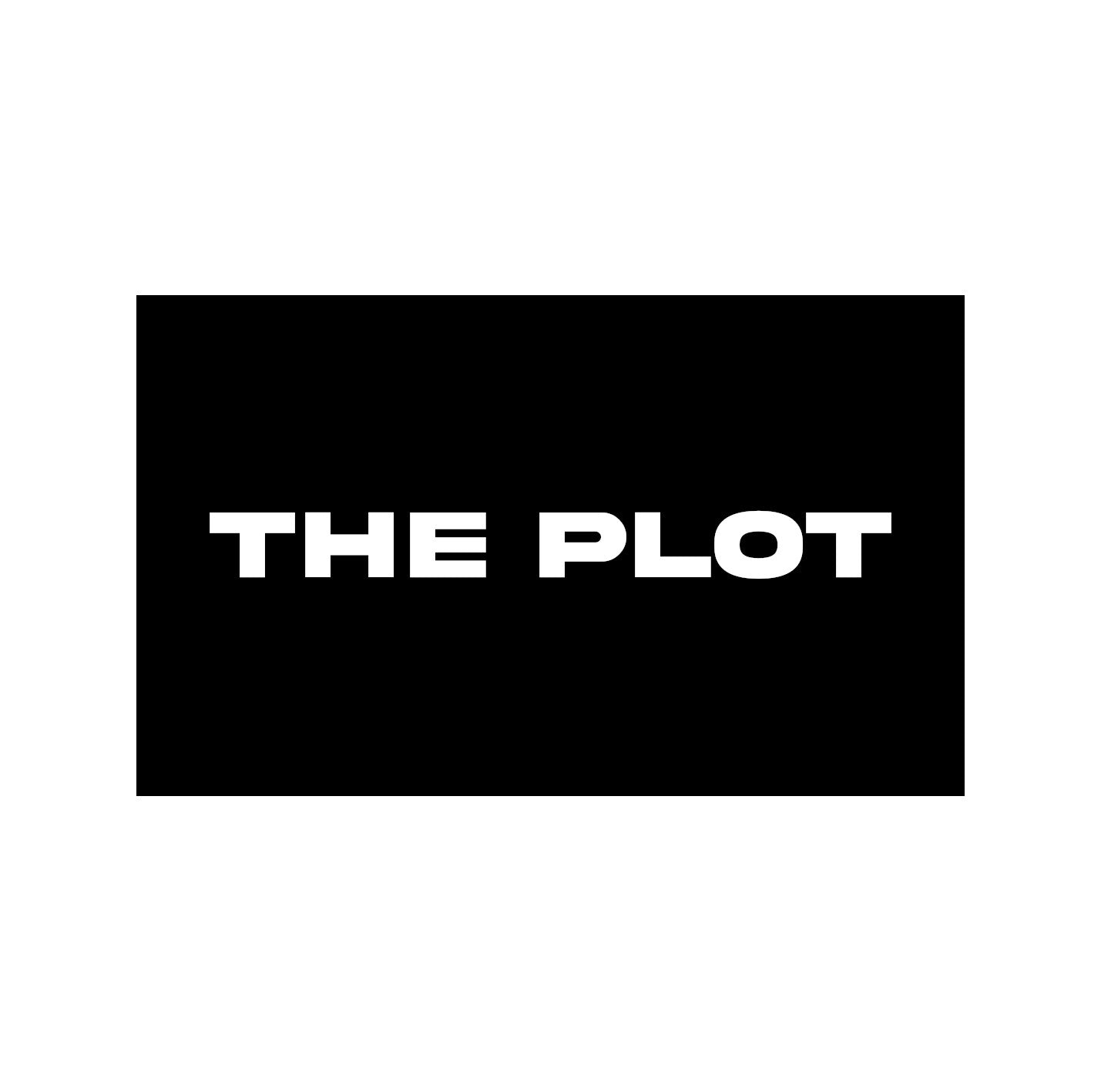 THE PLOT