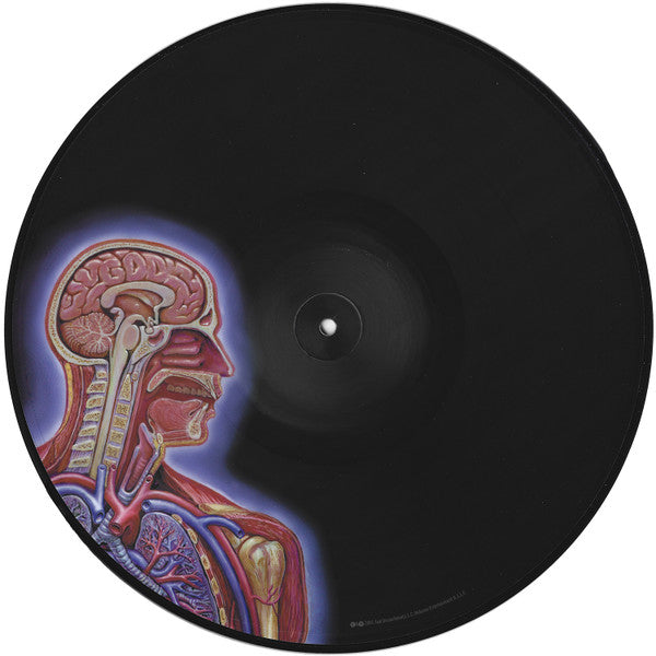 Tool - Lateralus - 2LP Picture Disc