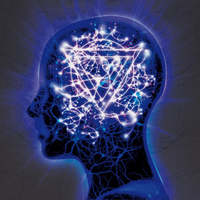 Enter Shikari – The Mindsweep - Blue/Cream/Purple Stripe