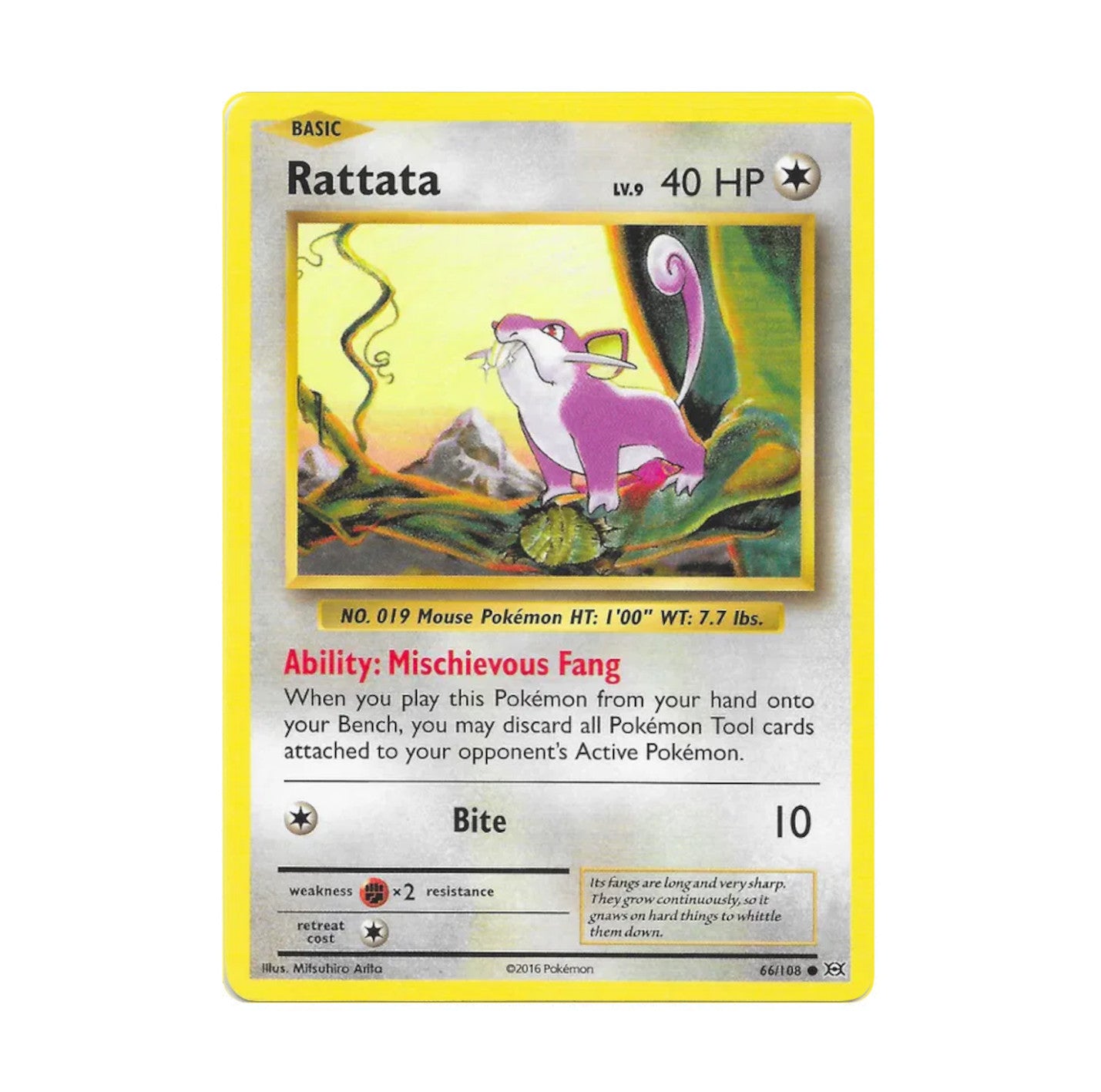 XY Evolutions 066/108 Rattata Rev Holo