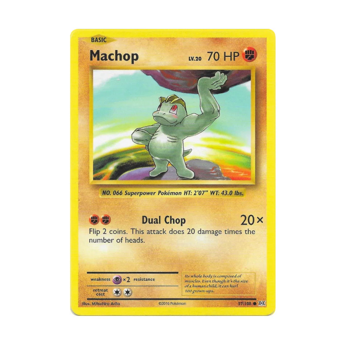 XY Evolutions 057/108 Machop Common