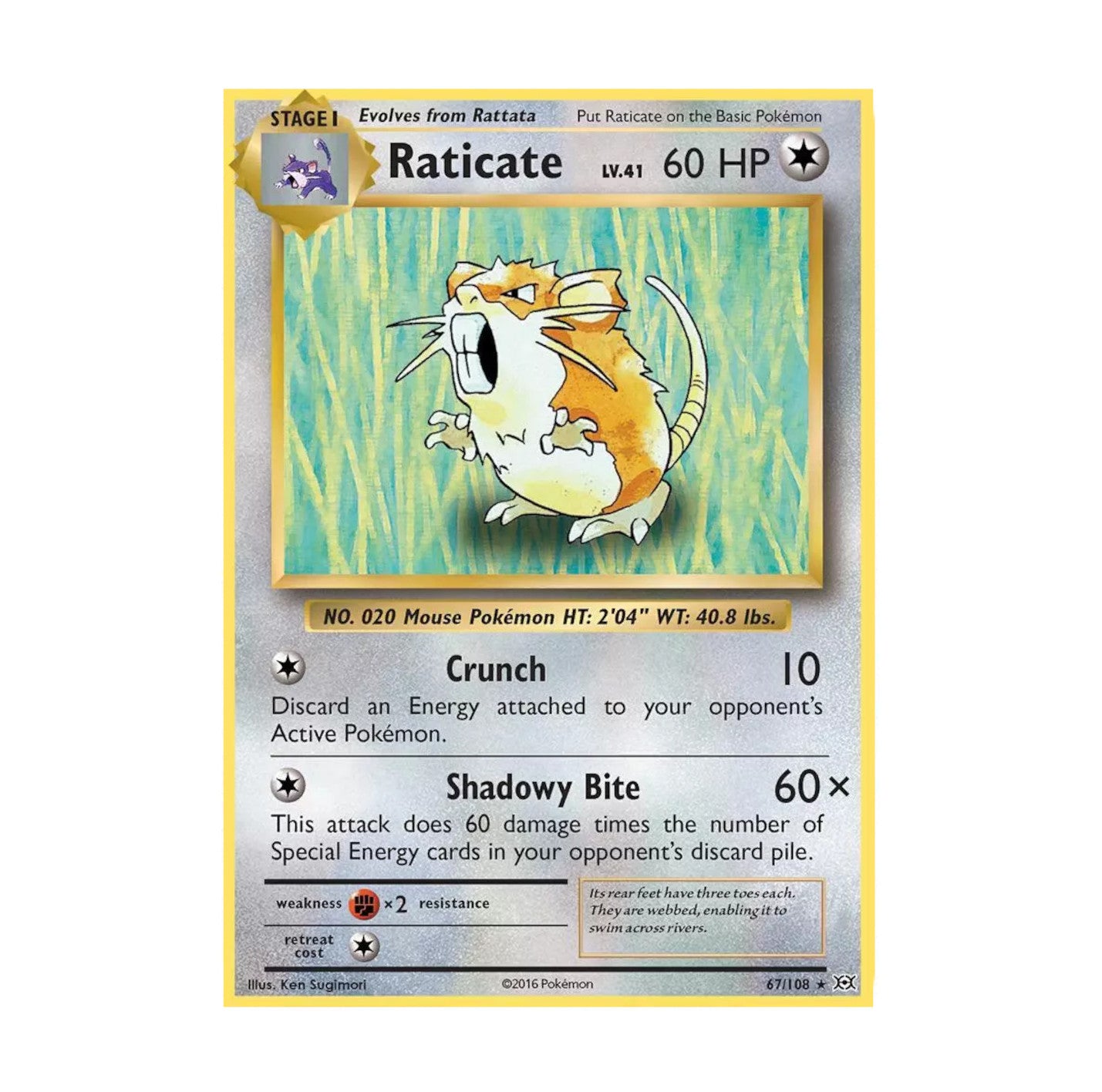 XY Evolutions 067/108 Raticate Common