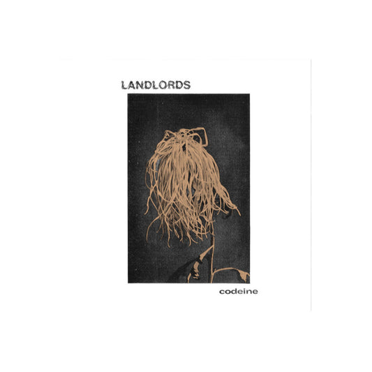 Landlords – Codeine