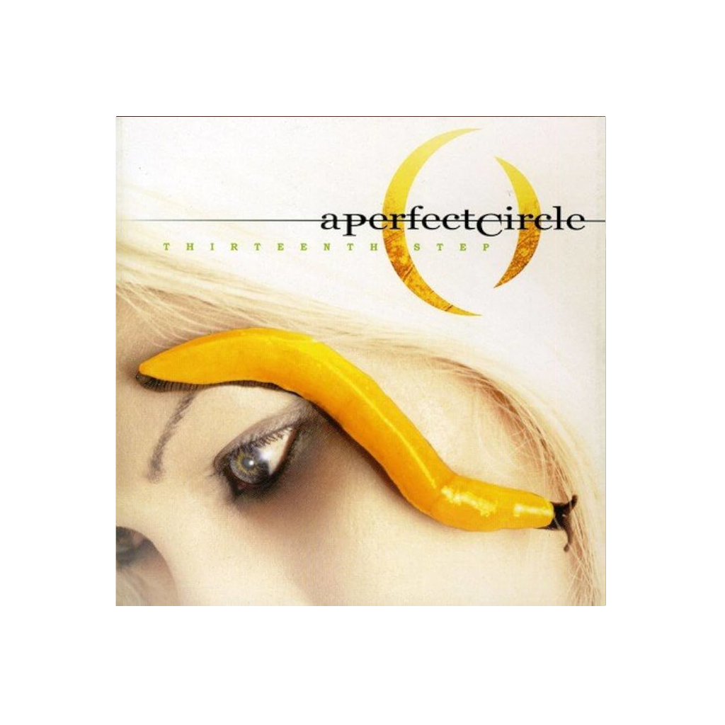 A Perfect Circle – Thirteenth Step