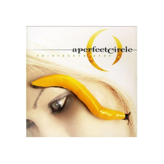A Perfect Circle – Thirteenth Step
