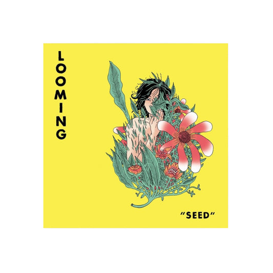 Looming – Seed - Orange